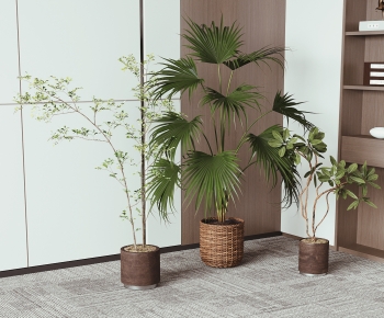 Modern Ground Green Plant Potted Plants-ID:101840529