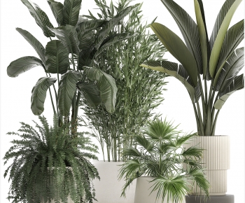 Modern Ground Green Plant Potted Plants-ID:838130001