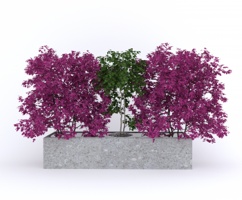 Modern Flower Bed, Flower Bowl, Flower Box-ID:184477091