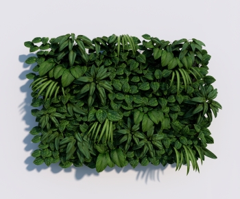 Modern Plant Wall-ID:621737968