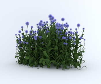 Modern Flowers And Grass-ID:185218102