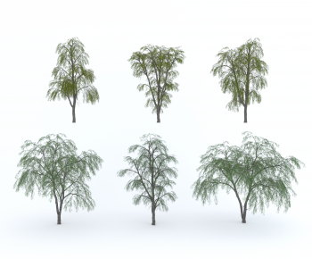 Modern Tree-ID:682362089