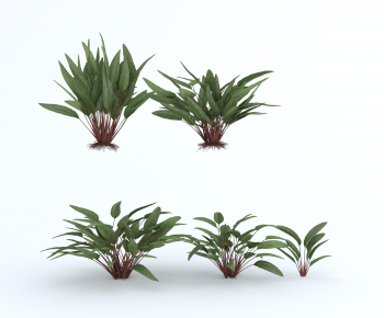 Modern Flowers And Grass-ID:794589045