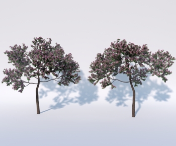 Modern Tree-ID:201230058