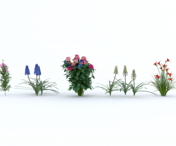 Modern Flowers And Grass-ID:215044981