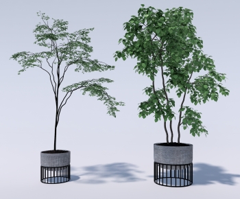 Modern Ground Green Plant Potted Plants-ID:544423106