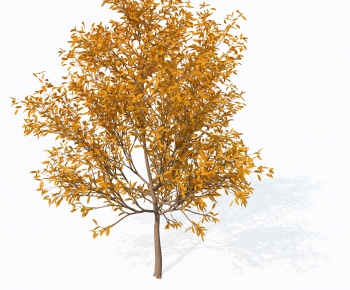 Modern Tree-ID:746834046