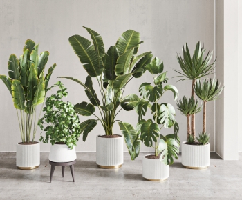 Modern Ground Green Plant Potted Plants-ID:101003891