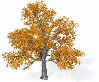 Modern Tree-ID:455281976