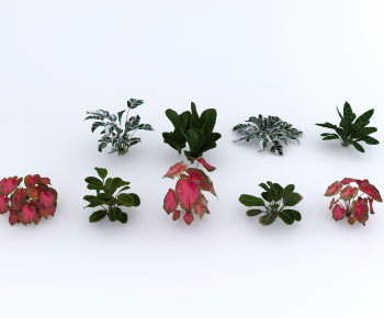 Modern The Grass-ID:548398975