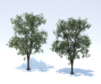 Modern Tree-ID:101816896