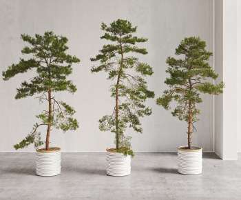 Modern Ground Green Plant Potted Plants-ID:556725983