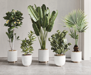 Modern Ground Green Plant Potted Plants-ID:970319033