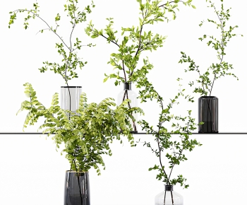 现代水生绿植组合-ID:182449875