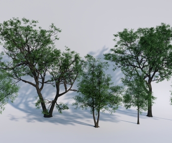 Modern Tree-ID:639127977