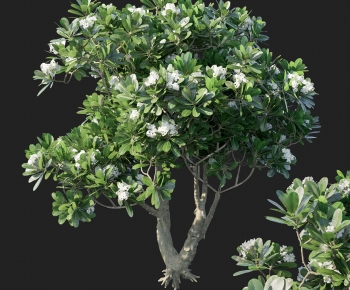 Modern Tree-ID:886533985