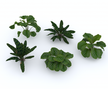 Modern The Grass-ID:937879152