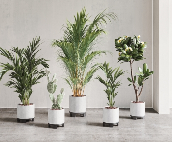 Modern Ground Green Plant Potted Plants-ID:127546073