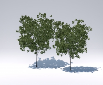 Modern Tree-ID:497147082