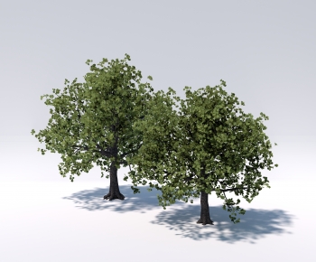 Modern Tree-ID:989272121