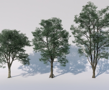 Modern Tree-ID:506258018