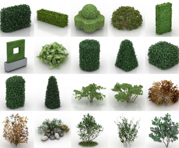 Modern Shrubbery-ID:670182945