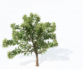Modern Tree-ID:314296962
