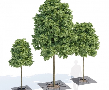 Modern Tree-ID:216480022