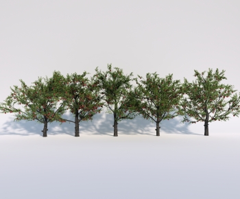 Modern Tree-ID:775302891