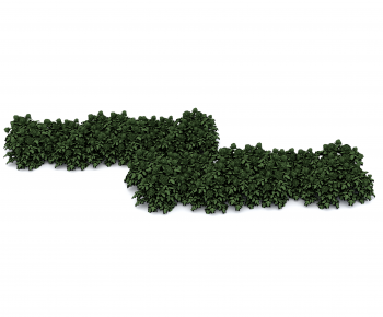 Modern Vine-ID:799639234