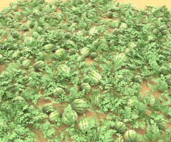 Modern Fruit-ID:251363044