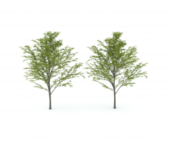 Modern Tree-ID:725802904