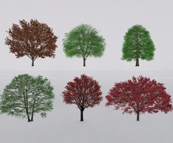 Modern Tree-ID:495908026