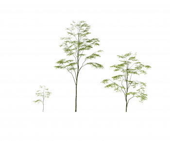 Modern Tree-ID:714808947