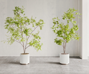 Modern Ground Green Plant Potted Plants-ID:250293027