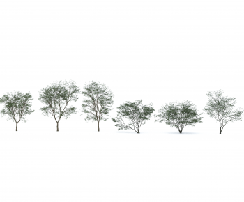 Modern Tree-ID:843871122