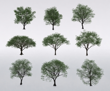 Modern Tree-ID:906285055