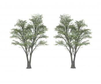 Modern Tree-ID:378916981