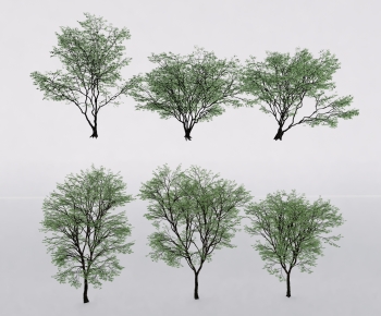 Modern Tree-ID:141230113