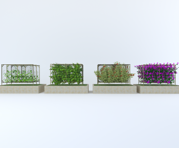 Modern Crop-ID:851088055