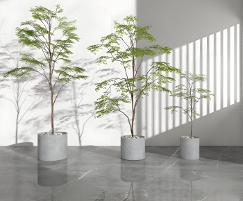 Modern Ground Green Plant Potted Plants-ID:159341107