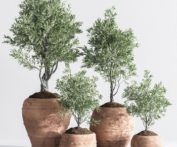 Modern Ground Green Plant Potted Plants-ID:454359138