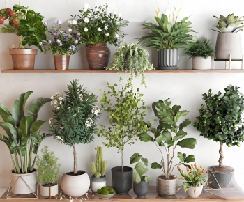 Modern Ground Green Plant Potted Plants-ID:693586115