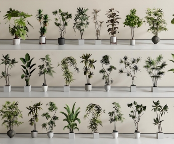 Modern Ground Green Plant Potted Plants-ID:256685029