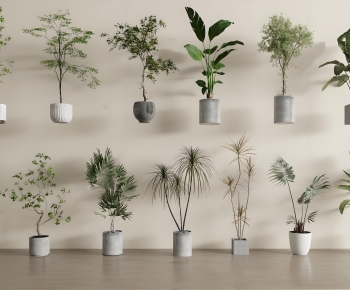 Modern Ground Green Plant Potted Plants-ID:935036903