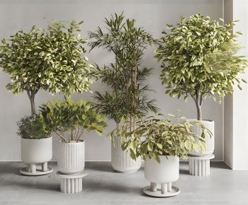 Modern Ground Green Plant Potted Plants-ID:387581118