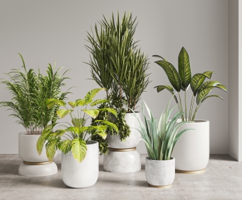 Modern Ground Green Plant Potted Plants-ID:168176896