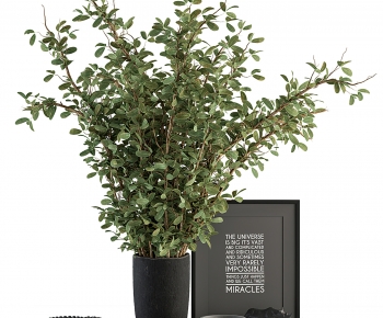 Modern Potted Green Plant-ID:585150961