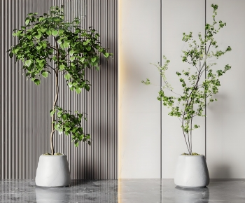 Modern Ground Green Plant Potted Plants-ID:548993113