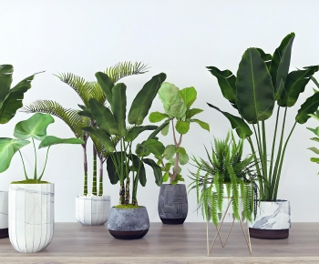 Modern Ground Green Plant Potted Plants-ID:263499985